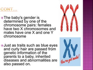 The baby's gender is
determined by one of the
chromosome pairs: females
have two X chromosomes and
males have one X and one Y
chromosome
Just as traits such as blue eyes
and curly hair are passed from
genetic information of the
parents to a baby, inherited
diseases and abnormalities are
also passed on.
 