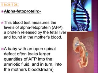 Alpha-fetoprotein:-
This blood test measures the
levels of alpha-fetoprotein (AFP),
a protein released by the fetal liver
and found in the mother's blood.
A baby with an open spinal
defect often leaks larger
quantities of AFP into the
amniotic fluid, and in turn, into
the mothers bloodstream)
 