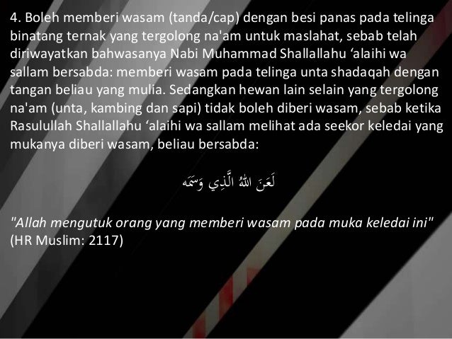 Akhlak Terhadap Hewan