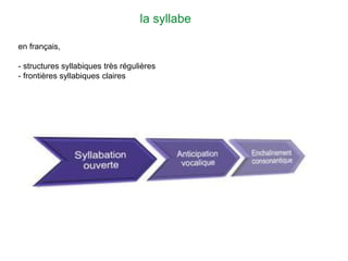 la syllabe
en français,
- structures syllabiques très régulières
- frontières syllabiques claires
 