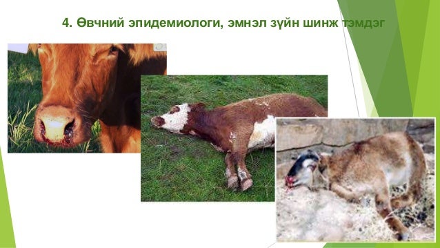 лекц 8. боом, зогсоо, дуут хавдар