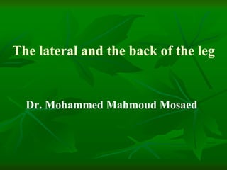 The lateral and the back of the leg
Dr. Mohammed Mahmoud Mosaed
 