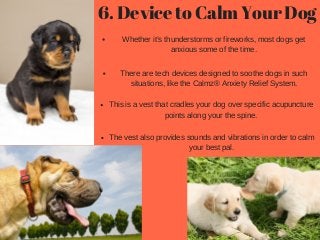 6. Device to Calm Your Dog 
Whether it’s thunderstorms or fireworks, most dogs get
anxious some of the time.
There are tec...
