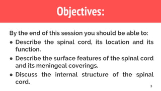 Objectives:
3
By the end of this session you should be able to:
● Describe the spinal cord, its location and its
function.
● Describe the surface features of the spinal cord
and its meningeal coverings.
● Discuss the internal structure of the spinal
cord.
 