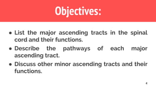 Objectives:
4
● List the major ascending tracts in the spinal
cord and their functions.
● Describe the pathways of each major
ascending tract.
● Discuss other minor ascending tracts and their
functions.
 