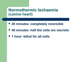 Normothermic Ischaemia
(canine heart)
 20 minutes- completely reversible
 40 minutes- half the cells are necrotic
 1 hour- lethal for all cells
 