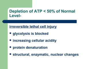 Depletion of ATP < 50% of Normal
Level-
irreversible lethal cell injury
 glycolysis is blocked
 increasing cellular acidity
 protein denaturation
 structural, enzymatic, nuclear changes
 