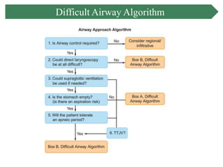 Main Airway Algorithm Airway management | PPTX