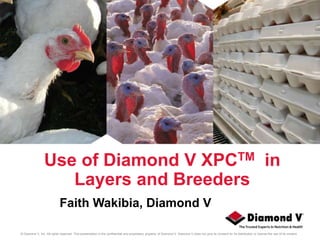 © Diamond V, Inc. All rights reserved. This presentation is the confidential and proprietary property of Diamond V. Diamond V does not give its consent for its distribution or license the use of its content.
Use of Diamond V XPCTM in
Layers and Breeders
Faith Wakibia, Diamond V
 