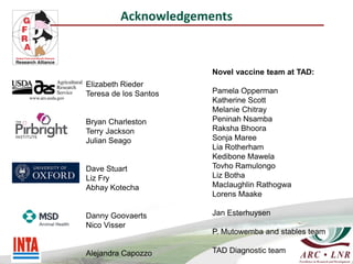 Elizabeth Rieder An overview of reverse genetic approaches to enhanced FMD vaccines in ...