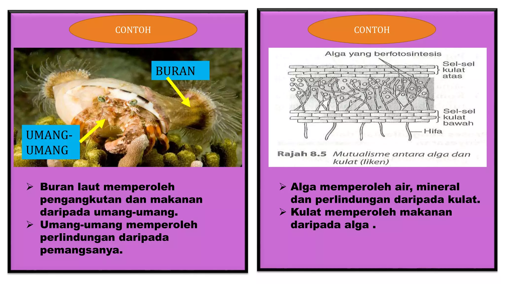 VKontakte porno komikslari chizilgan