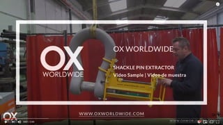 EXTRACTOR PIN SHACKLE - OX WORLDWIDE