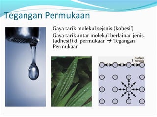 Tegangan Permukaan
Gaya tarik molekul sejenis (kohesif)
Gaya tarik antar molekul berlainan jenis
(adhesif) di permukaan  Tegangan
Permukaan
 