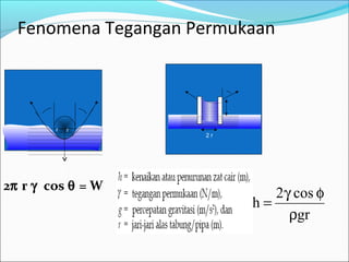 Fenomena Tegangan Permukaan
2π r γ cos θ = W
gr
cos2
h
ρ
φγ
=
r r
w
2 r
 
