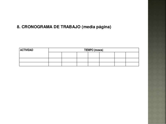 Cronograma gantt Cronograma gantt