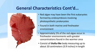 Classification of Red Algae
• There are two classes of red algae namely:
• Florideophyceae
• Bangiophyceae
• Both Florideo...