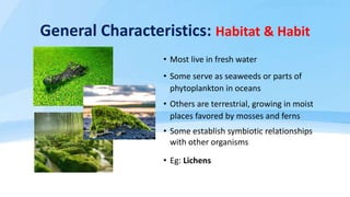 General Characteristics Cont’d…
• Green algae share numerous
characteristics with plants
̶ Have chlorophylls a and b
̶ Use...