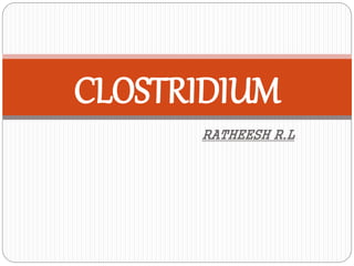 RATHEESH R.L
CLOSTRIDIUM
 