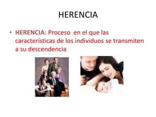 HERENCIA
• HERENCIA: Proceso en el que las
características de los individuos se transmiten
a su descendencia
 