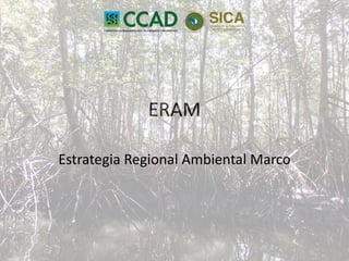 ERAM
Estrategia Regional Ambiental Marco
 