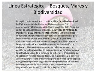 Cambio Climático y
Gestión del Riesgo
• Transversalizar el enfoque
de mitigación y adaptación
al cambio climático y la
ges...