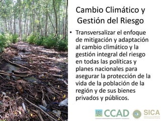 ERAM: Estrategia Regional Ambiental Marco 