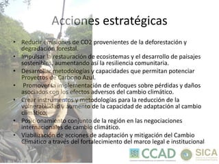 ERAM: Estrategia Regional Ambiental Marco 