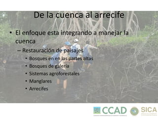ERAM: Estrategia Regional Ambiental Marco 