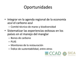 ERAM: Estrategia Regional Ambiental Marco 