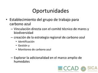 ERAM: Estrategia Regional Ambiental Marco 