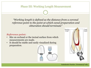 Phase III: Working Length Measurement
“Working length is defined as the distance from a coronal
reference point to the point at which canal preparation and
obturation should terminate”
Endodontic Practice : Grosman13th edn.
Reference point:
• Site on occlusal or the incisal surface from which
measurements are made.
• It should be stable and easily visualized during
preparation.
 
