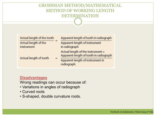 GROSSMAN METHOD/MATHEMATICAL
METHOD OF WORKING LENGTH
DETERMINATION
Disadvantages
Wrong readings can occur because of:
• Variations in angles of radiograph
• Curved roots
• S-shaped, double curvature roots.
Textbook of endodontics: Nisha Garg 3rd Edn.
 