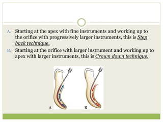 A. Starting at the apex with fine instruments and working up to
the orifice with progressively larger instruments, this is Step
back technique.
B. Starting at the orifice with larger instrument and working up to
apex with larger instruments, this is Crown down technique.
A B
 