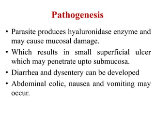 Pathogenesis
• Parasite produces hyaluronidase enzyme and
may cause mucosal damage.
• Which results in small superficial ulcer
which may penetrate upto submucosa.
• Diarrhea and dysentery can be developed
• Abdominal colic, nausea and vomiting may
occur.
 