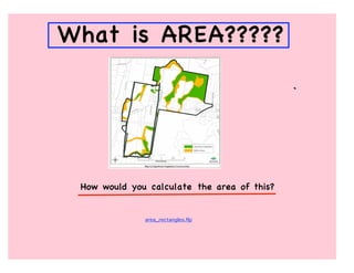 What is AREA?????




 How would you calculate the area of this?


              area_rectangles.flp
 