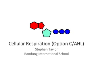 Cell Respiration (8.1 & C3)