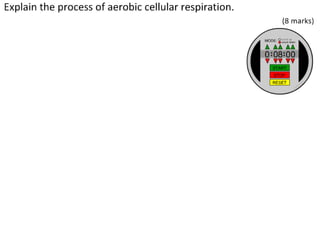 Cell Respiration (8.1 & C3)