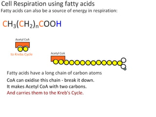 Cell Respiration (8.1 & C3)