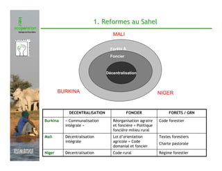 1. Reformes au Sahel
                                                 MALI

                                                Forêts &
                                                Foncier



                                              Décentralisation



                       BURKINA                                             NIGER


                           DECENTRALISATION               FONCIER               FORETS / GRN

               Burkina   « Communalisation       Réorganisation agraire    Code forestier
                         intégrale »             et foncière + Politique
                                                 foncière milieu rural
               Mali      Décentralisation        Loi d’orientation         Textes forestiers
                         intégrale               agricole + Code
                                                                           Charte pastorale
                                                 domanial et foncier
Février 2009   Niger     Décentralisation        Code rural                Régime forestier
 