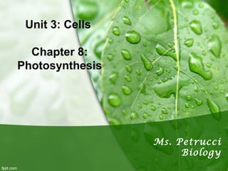 Unit 3: Cells
Chapter 8:
Photosynthesis
Ms. Petrucci
Biology
 