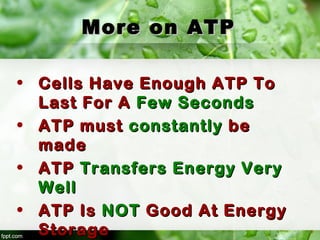 More on ATPMore on ATP
• Cells Have Enough ATP ToCells Have Enough ATP To
Last For ALast For A Few SecondsFew Seconds
• ATP mustATP must constantlyconstantly bebe
mademade
• ATPATP Transfers Energy VeryTransfers Energy Very
WellWell
• ATP IsATP Is NOTNOT Good At EnergyGood At Energy
StorageStorage
 