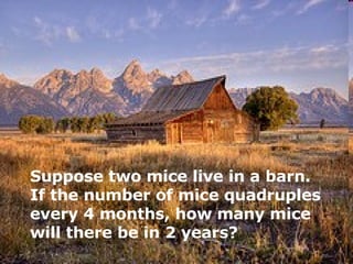 Suppose two mice live in a barn.  If the number of mice quadruples every 4 months, how many mice will there be in 2 years? 