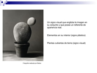 Fotografía realizada por Madoz Un signo visual que engloba la imagen en su conjunto y que posee un referente de apariencia real. Elementos en su interior (signo plástico)  Plantas cubiertas de tierra (signo visual)  