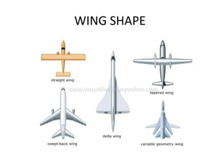 WING SHAPE
 