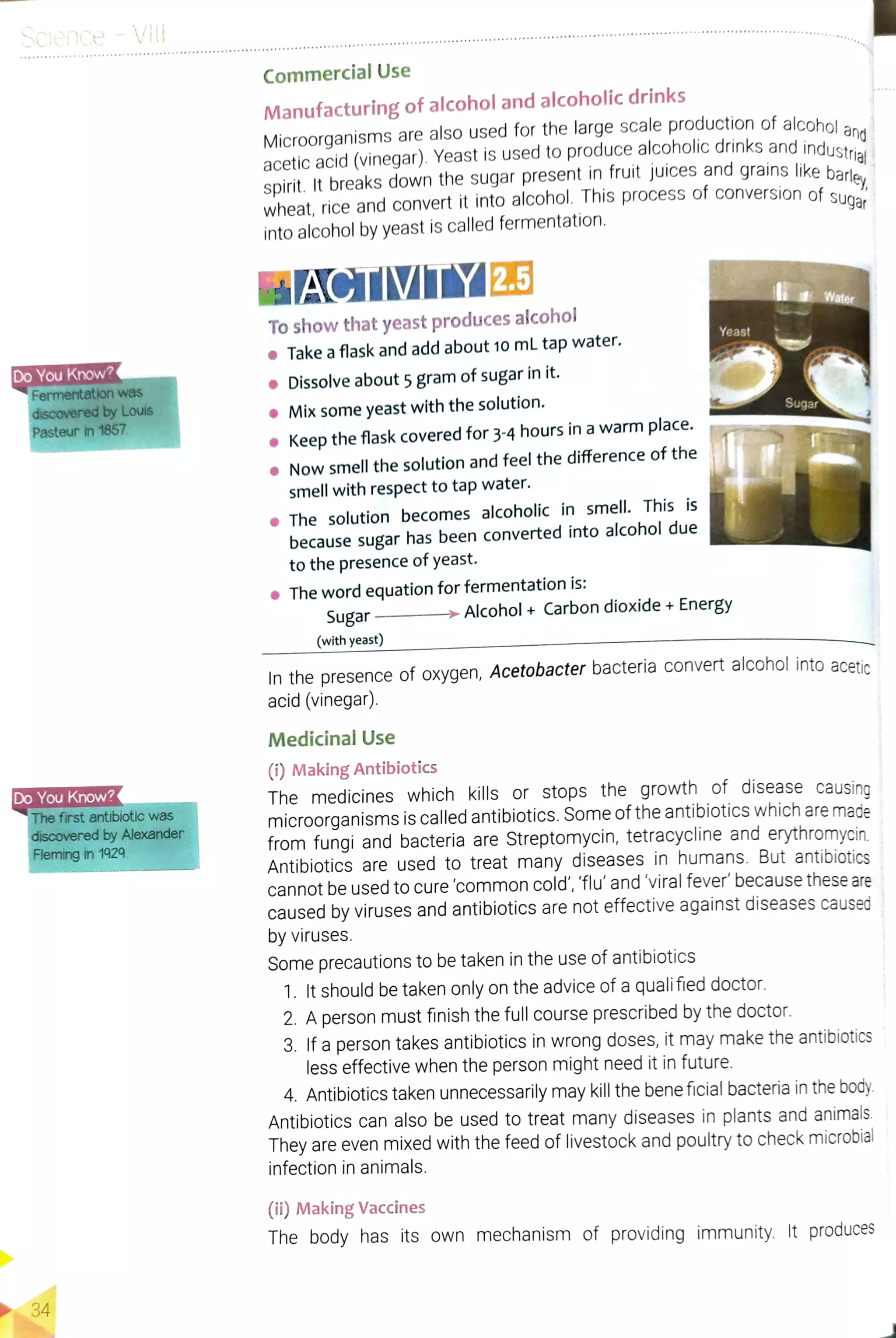 Can You Drink Alcohol on Antibiotics? Safe Choices Explained