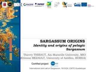 SARGASSUM ORIGINS
Identity and origins of pelagic
Sargassum
Thierry THIBAUT, Aix-Marseille University, MIO
(Etienne BEZAULT, University of Antilles, BOREA)
International Joint call on Sargassum, 19/10/24, CWTC Guadeloupe1
Certified project
 