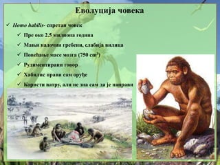 Еволуција човека
 Homo habilis- спретан човек
 Пре око 2.5 милиона година
 Мањи надочни гребени, слабија вилица
 Повећање масе мозга (750 cm3)
 Рудиментирани говор
 Хабилис прави сам оруђе
 Користи ватру, али не зна сам да је направи
 