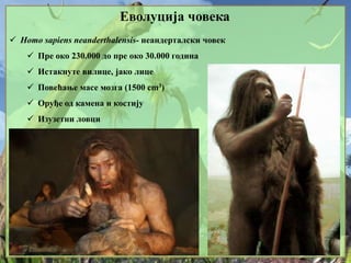Еволуција човека
 Homo sapiens neanderthalensis- неандерталски човек
 Пре око 230.000 до пре око 30.000 година
 Истакнуте вилице, јако лице
 Повећање масе мозга (1500 cm3)
 Оруђе од камена и костију
 Изузетни ловци
 