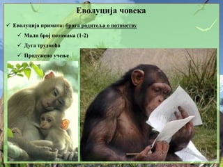 Еволуција човека
 Еволуција примата: брига родитеља о потомству
 Мали број потомака (1-2)
 Дуга трудноћа
 Продужено учење
 