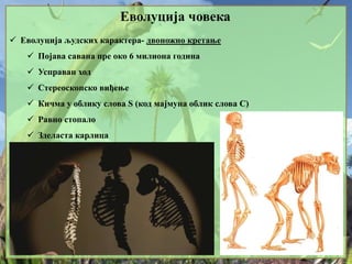 Еволуција човека
 Еволуција људских карактера- двоножно кретање
 Појава савана пре око 6 милиона година
 Усправан ход
 Стереоскопско виђење
 Кичма у облику слова S (код мајмуна облик слова С)
 Равно стопало
 Зделаста карлица
 